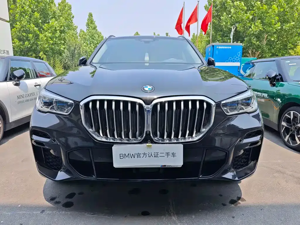 BMW X5 (Import) — фото 7