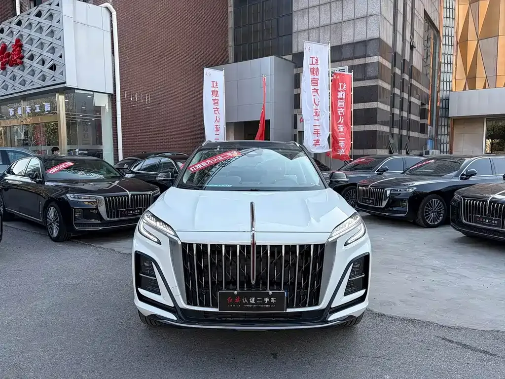 Hongqi HS3 PHEV — фото 10