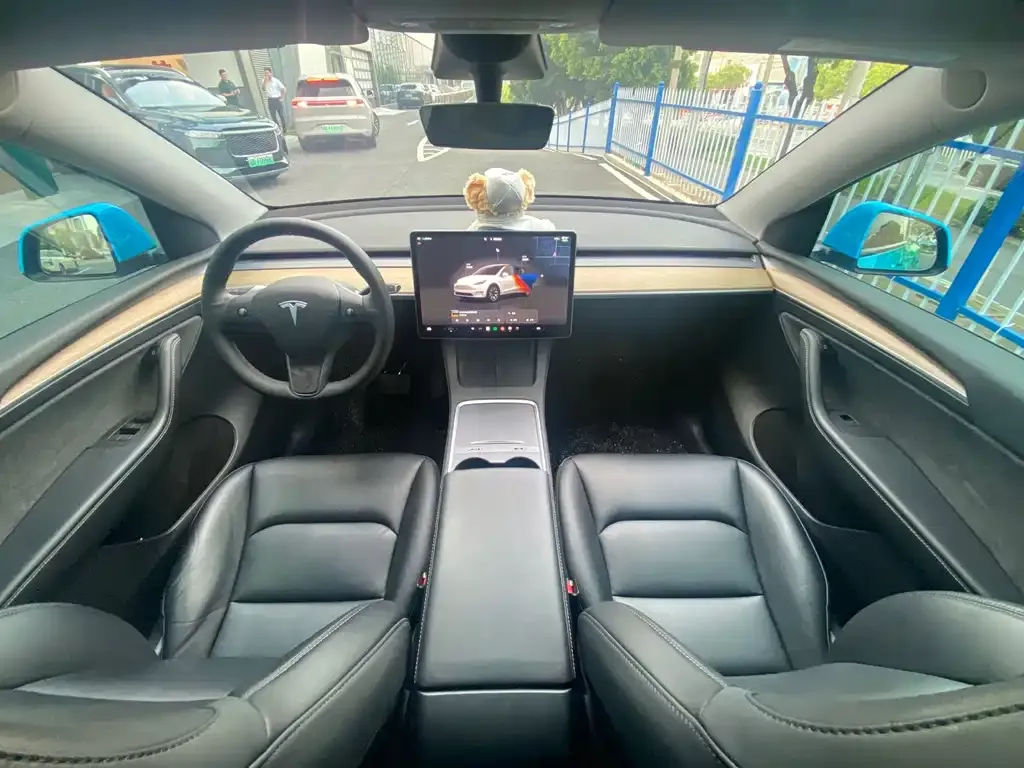 Tesla Model Y — фото 5
