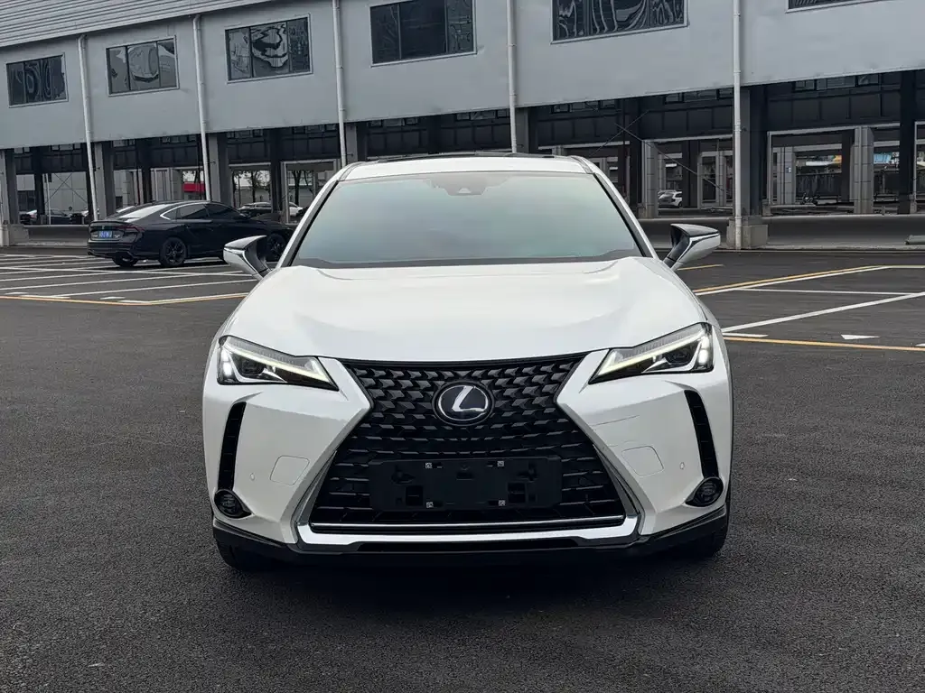 Lexus UX New Energy — фото 2
