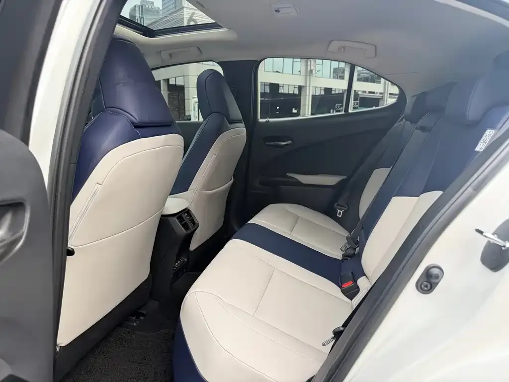 Lexus UX New Energy — фото 5