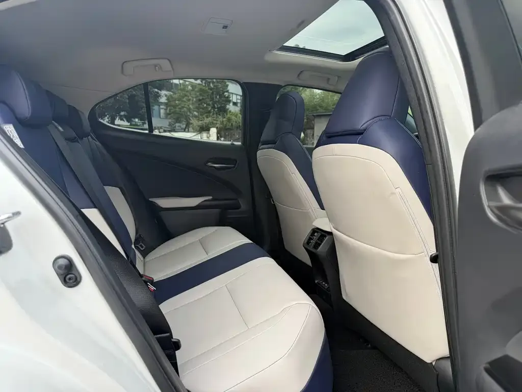 Lexus UX New Energy — фото 4