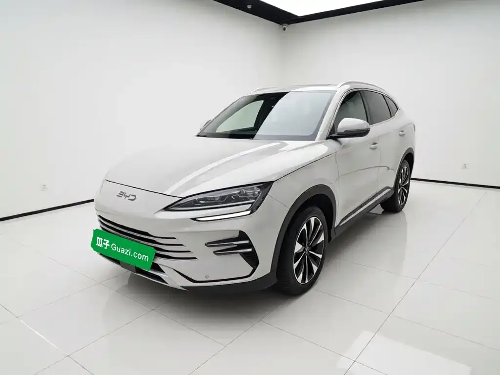 BYD PLUS New Energy — фото 3