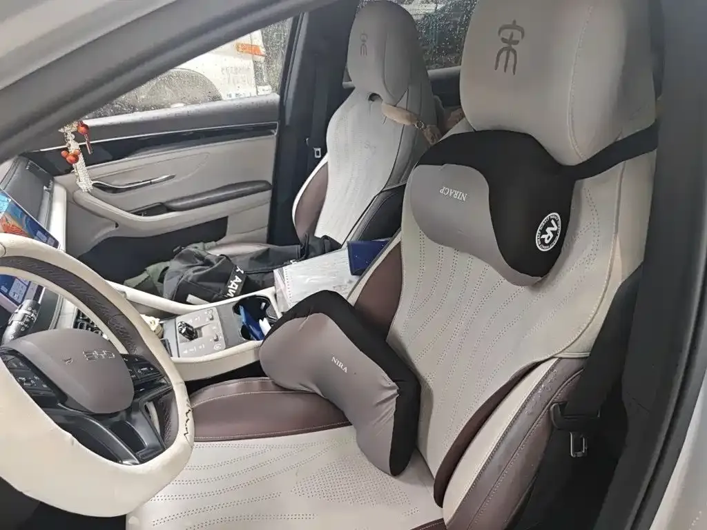 BYD PLUS New Energy — фото 10