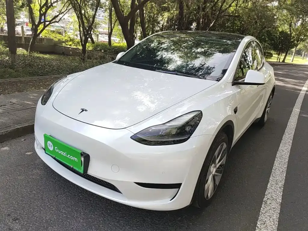 Tesla Model Y — фото 1