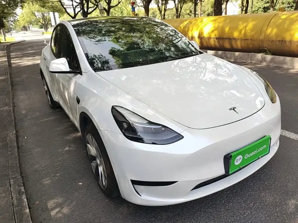 Tesla Model Y — фото 2