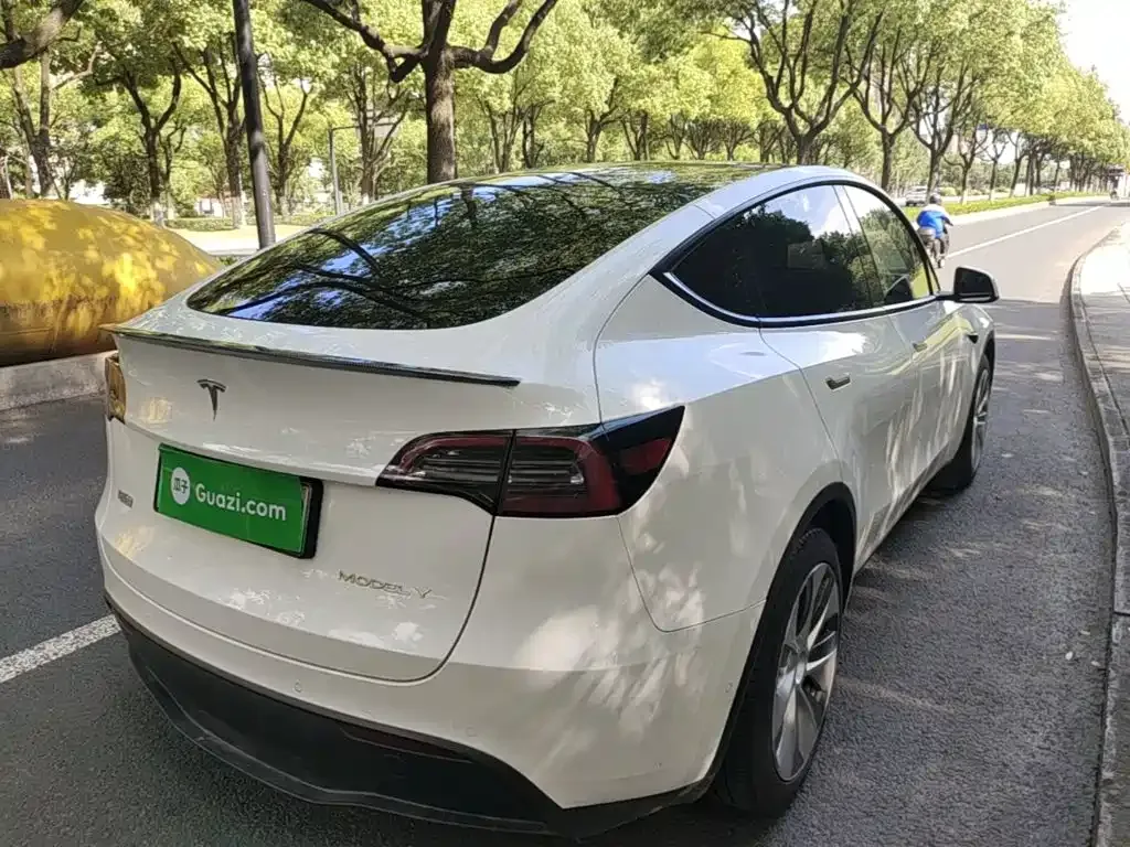 Tesla Model Y — фото 5