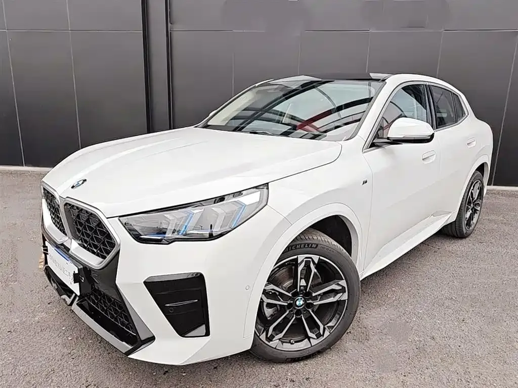 BMW X2 (Import) — фото 1