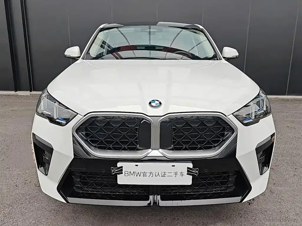 BMW X2 (Import) — фото 3