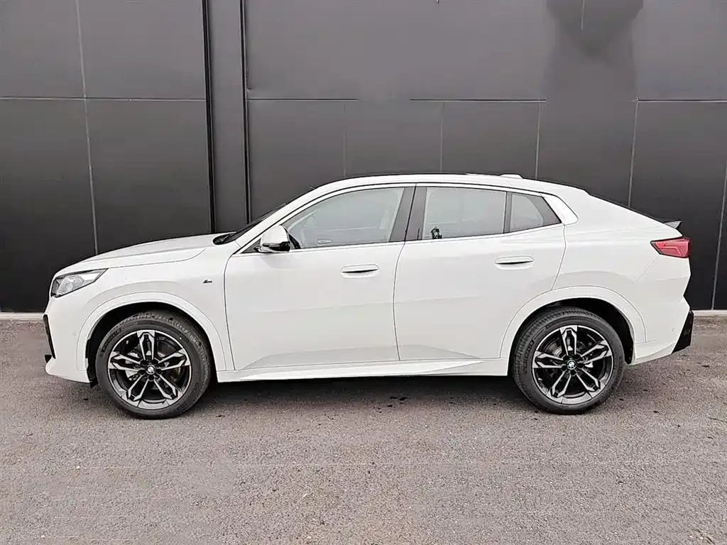 BMW X2 (Import) — фото 8