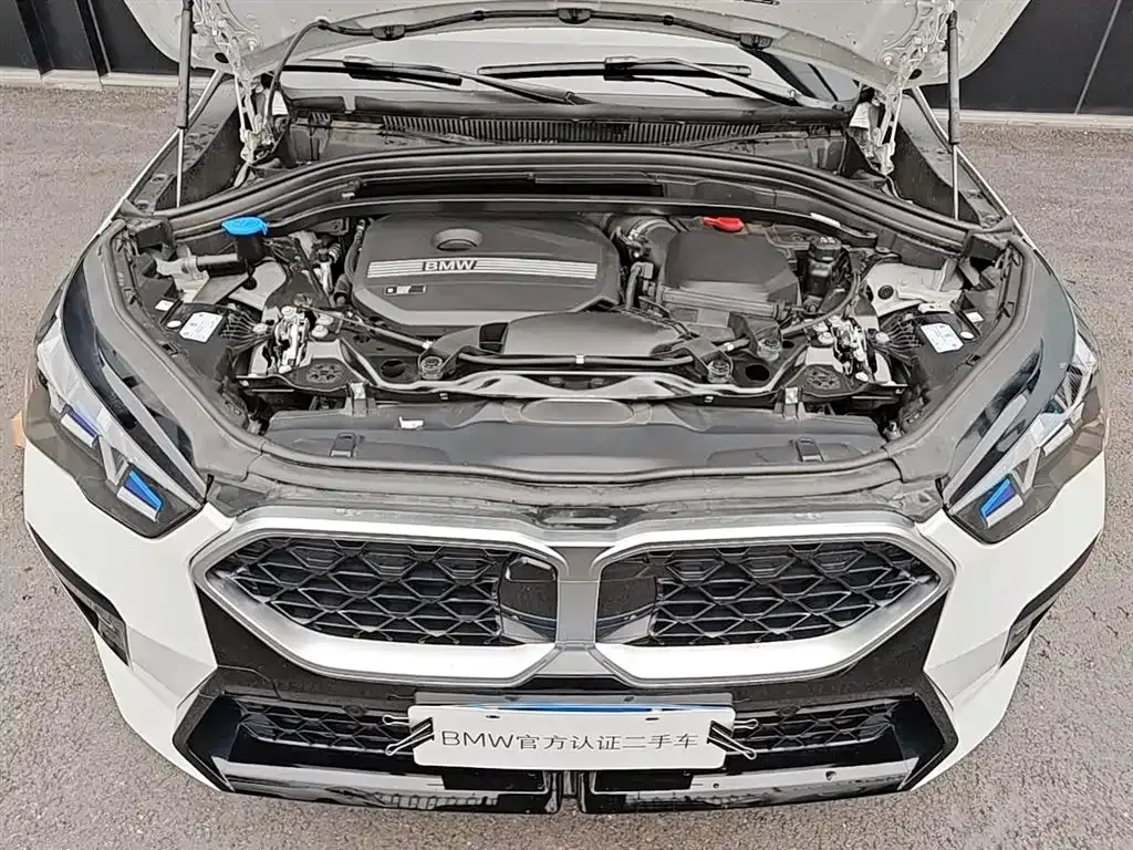 BMW X2 (Import) — фото 10