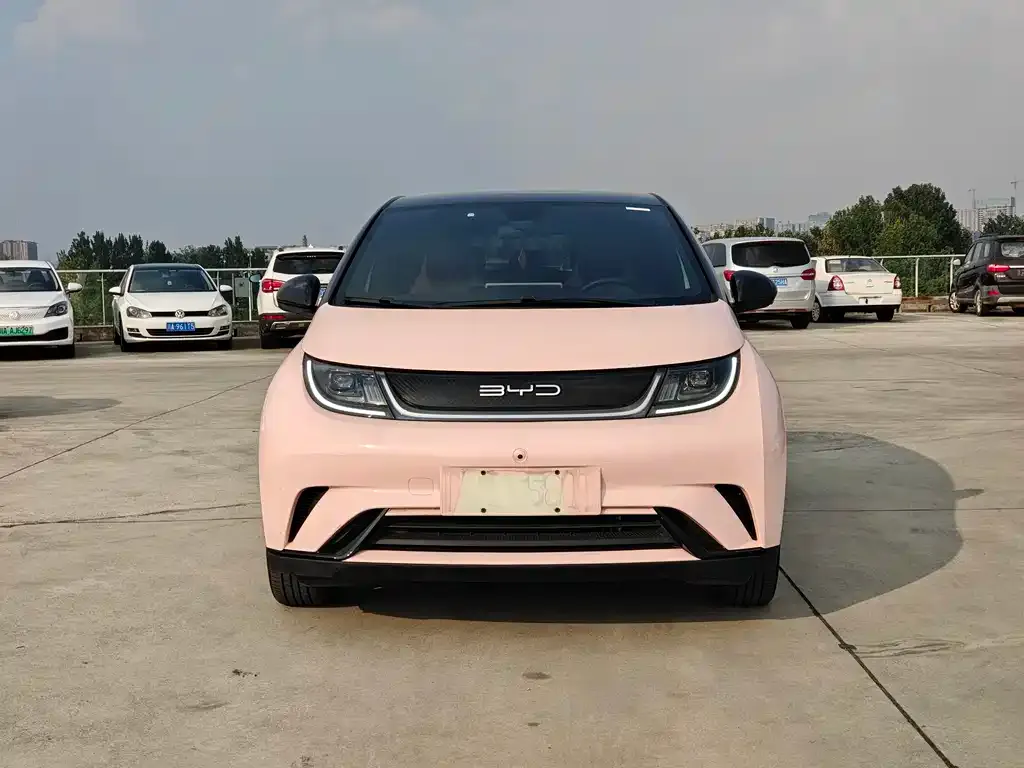 BYD Dolphin 2024 из CN, фото 4