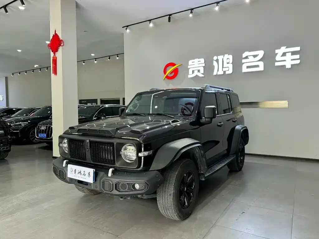 Tank 300