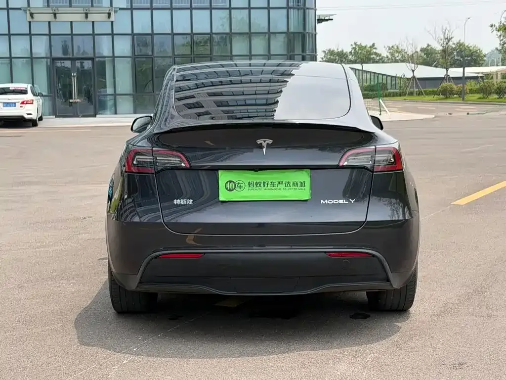 Tesla Model Y — фото 2