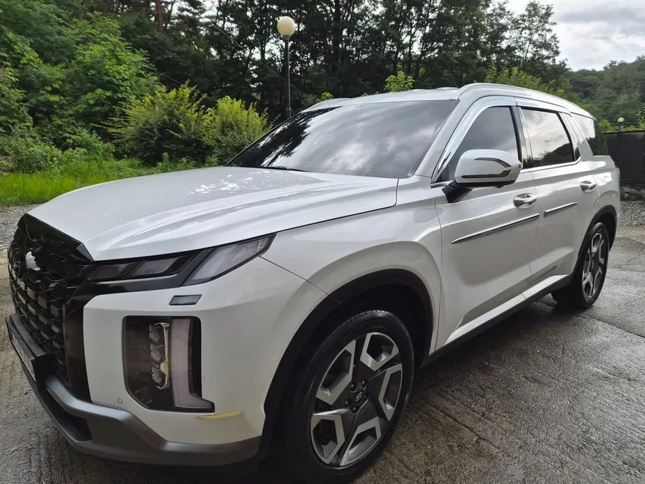 Hyundai Palisade — фото 6