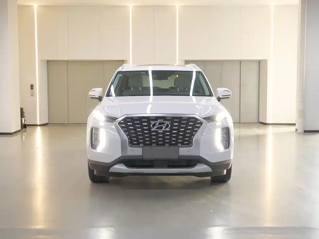 Hyundai Palisade 2021 из CN, фото 4