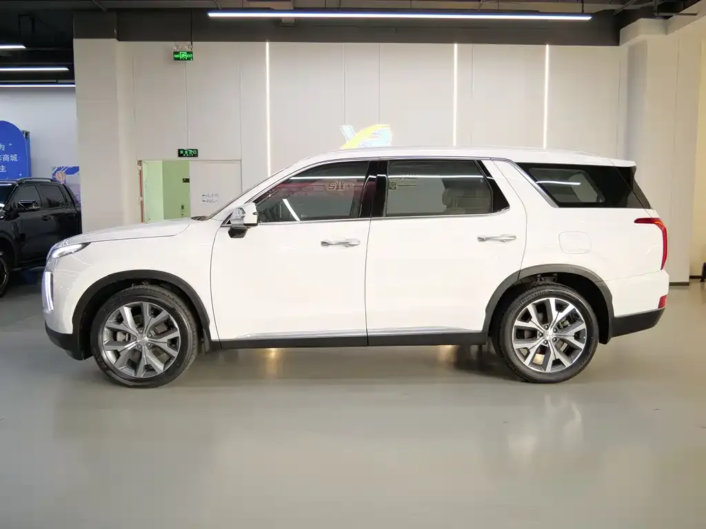 Hyundai Palisade 2021 из CN, фото 2