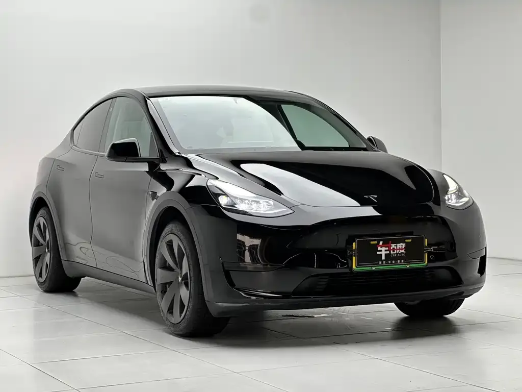 Tesla Model Y — фото 9