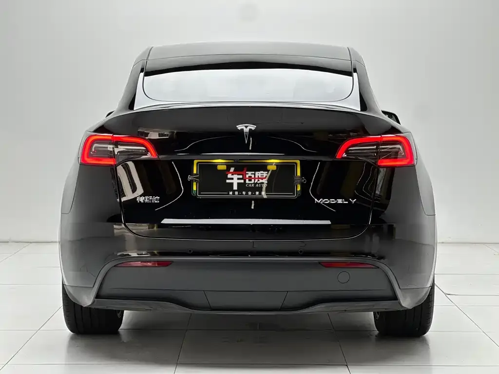 Tesla Model Y — фото 5