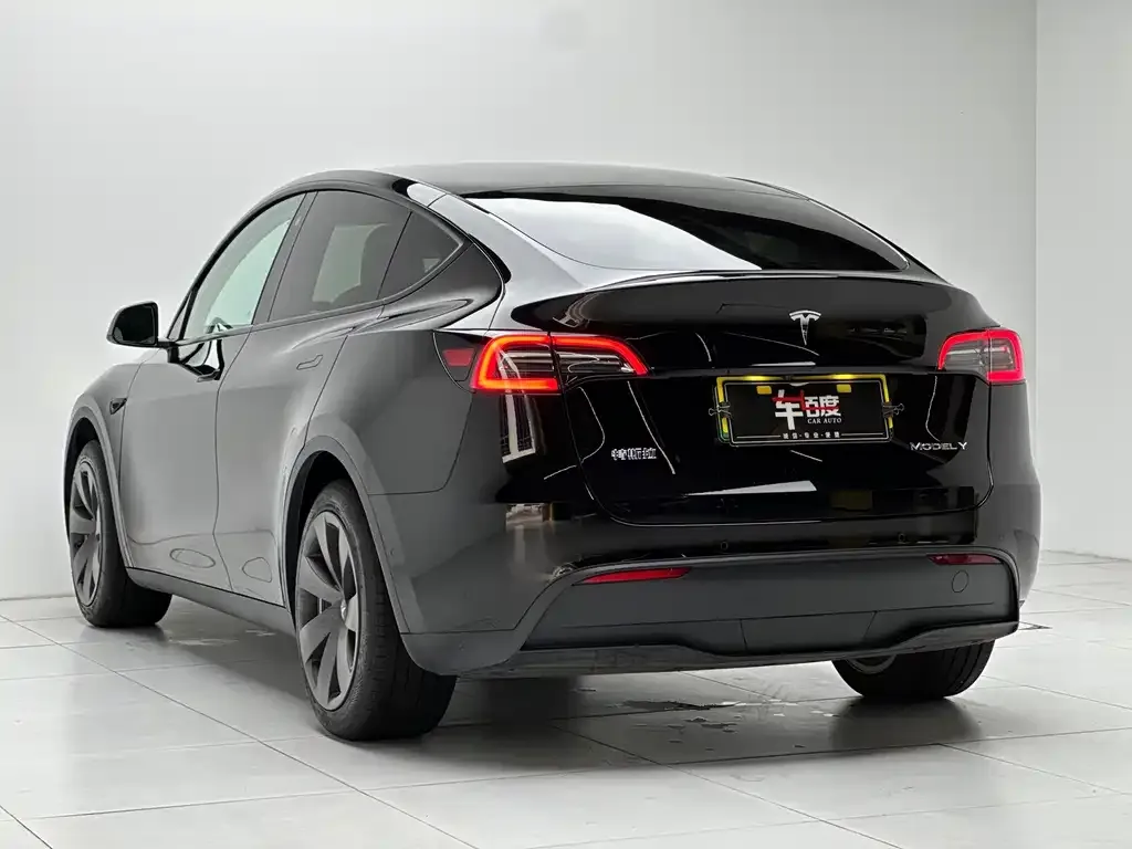 Tesla Model Y — фото 8