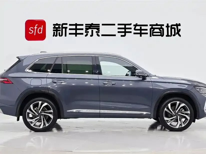 Geely Xingyue L 2024 из CN, фото 9