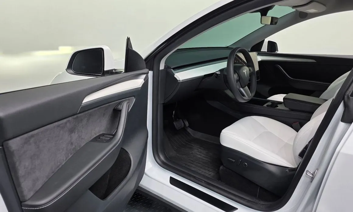 Tesla Model Y — фото 10