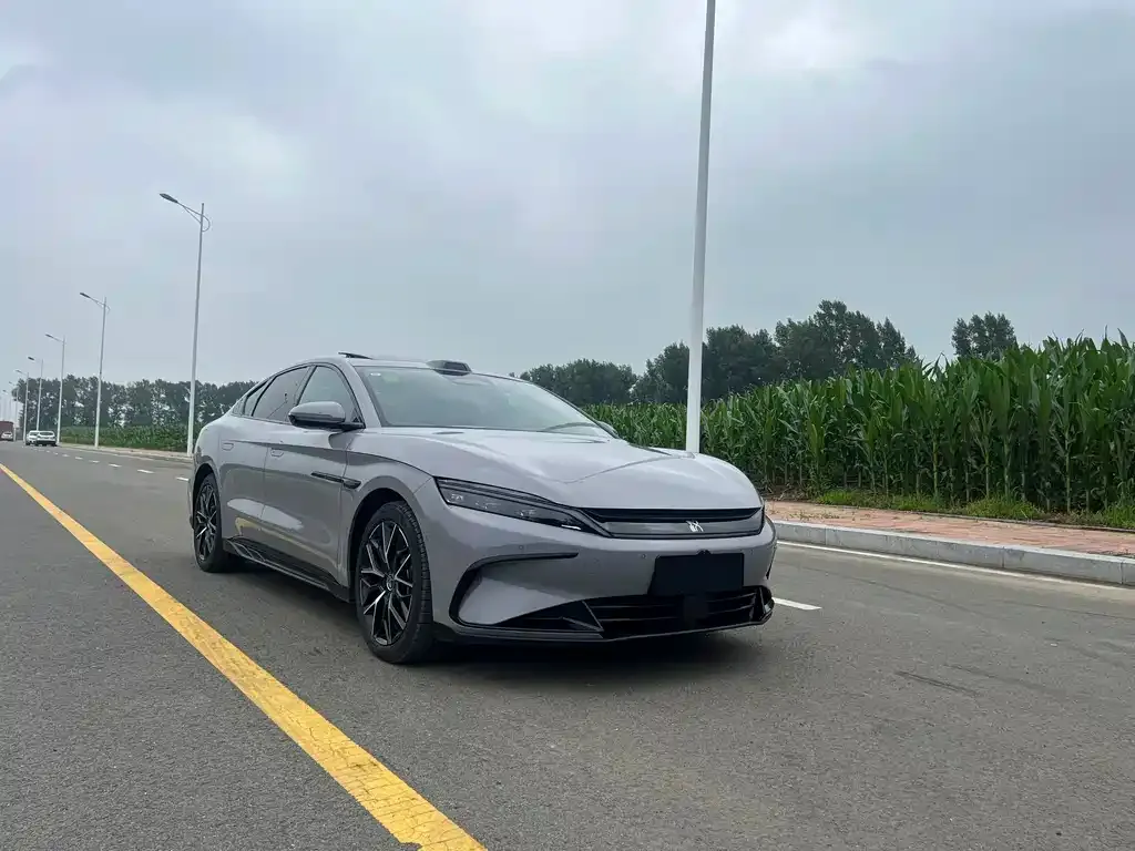 BYD Han — фото 10