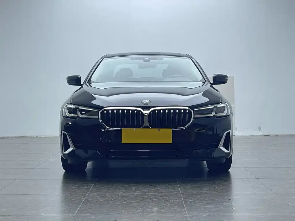 BMW 5 Series New Energy — фото 2