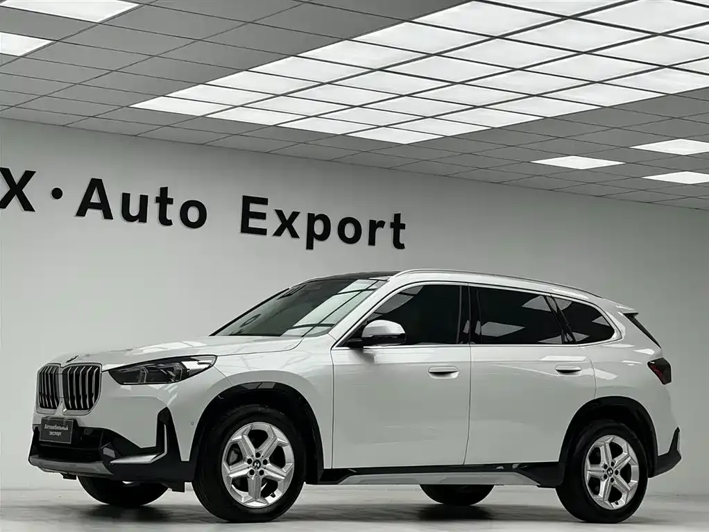 BMW X1 — фото 10