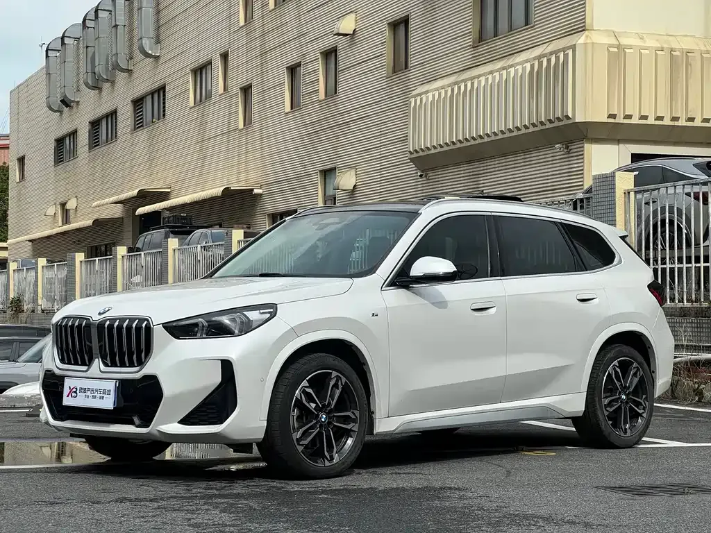BMW X1 — фото 1
