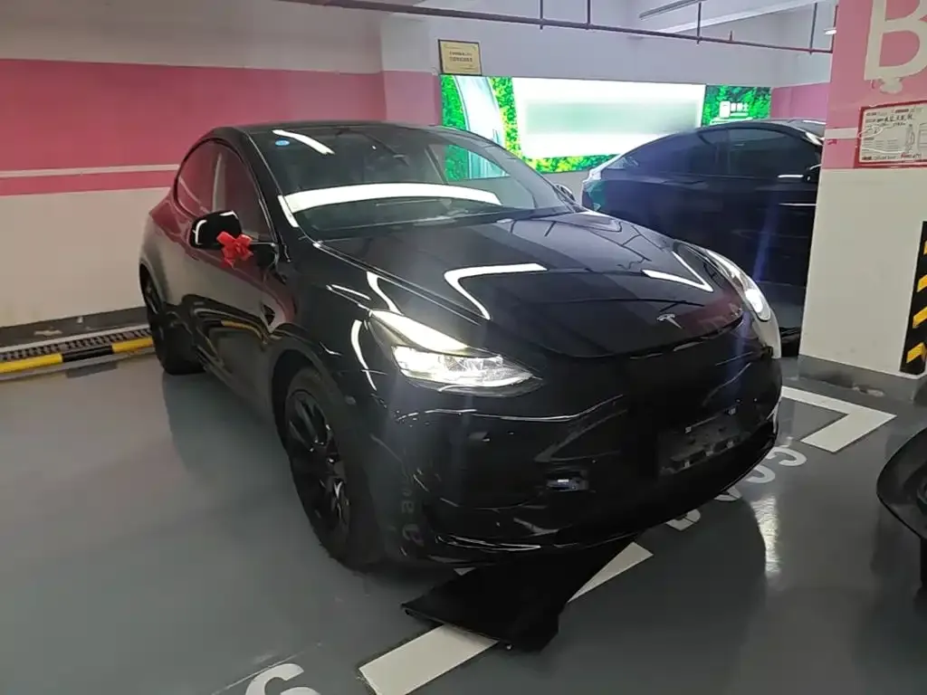 Tesla Model Y — фото 2