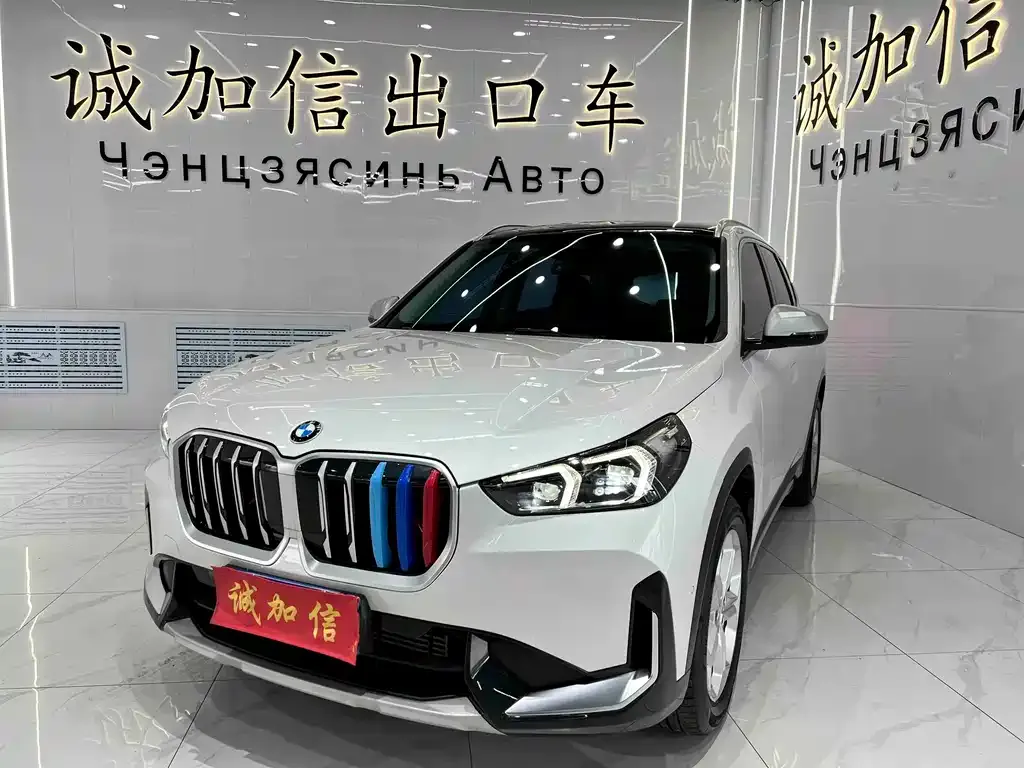 BMW X1 — фото 1