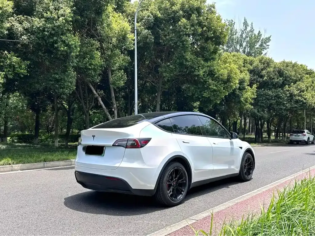Tesla Model Y — фото 8