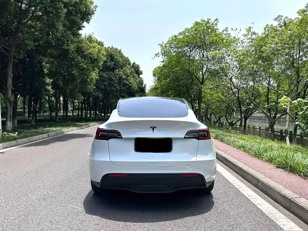 Tesla Model Y — фото 3
