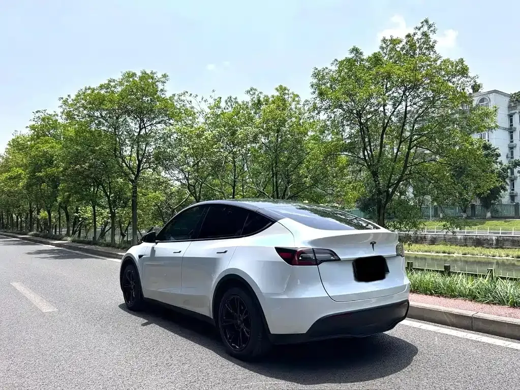 Tesla Model Y — фото 6