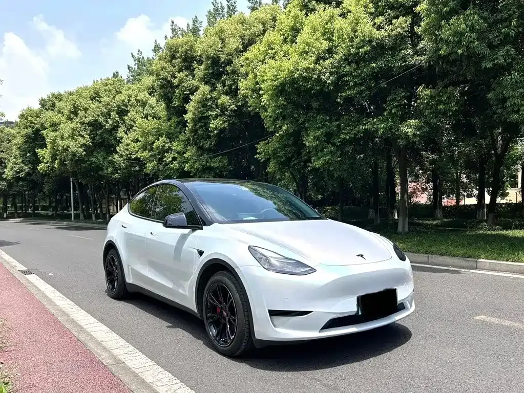 Tesla Model Y — фото 5
