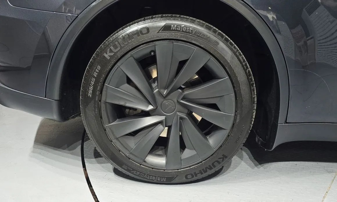Tesla Model Y — фото 10