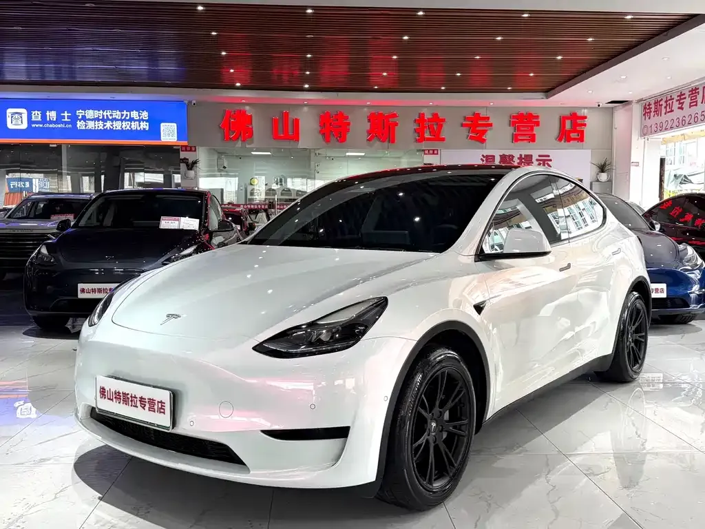 Tesla Model Y — фото 1