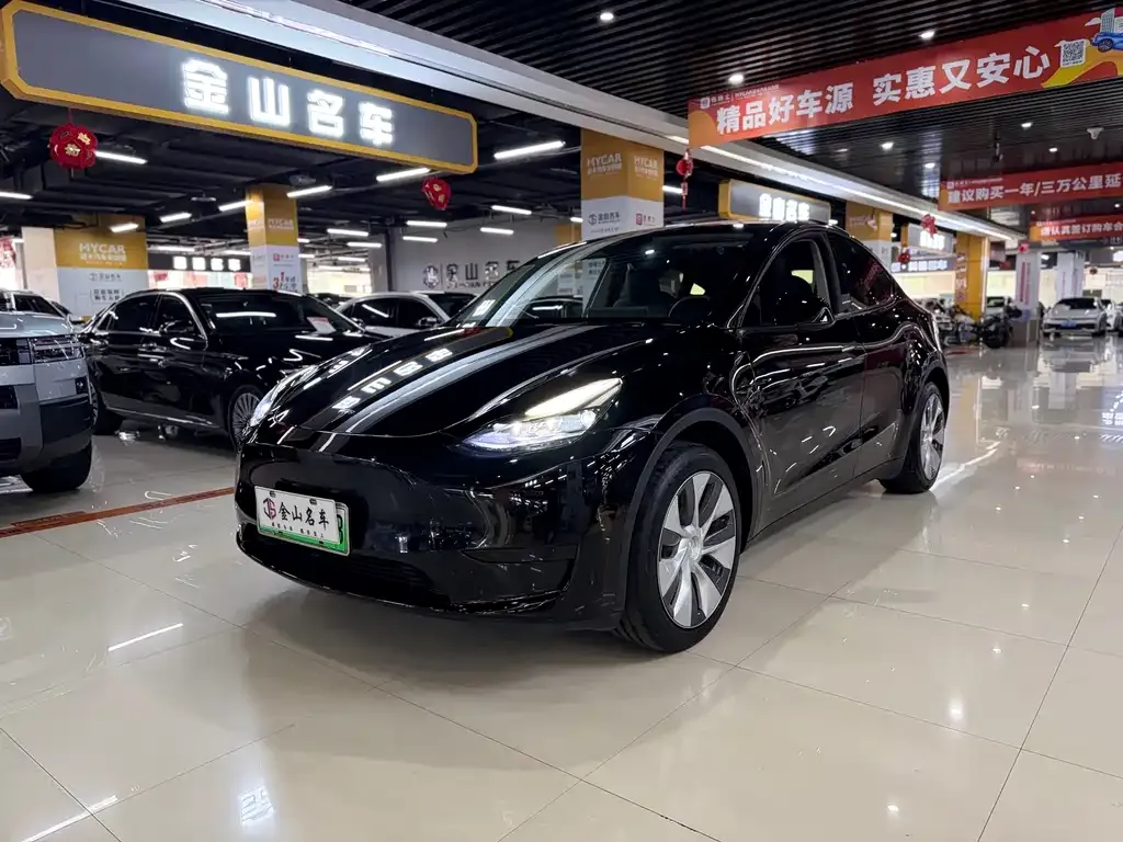 Tesla Model Y — фото 1