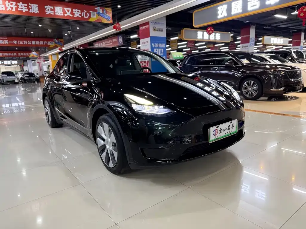 Tesla Model Y — фото 7