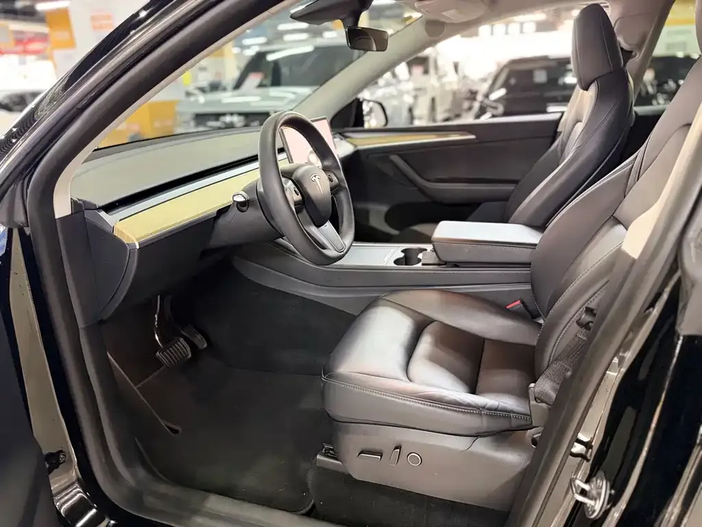 Tesla Model Y — фото 9