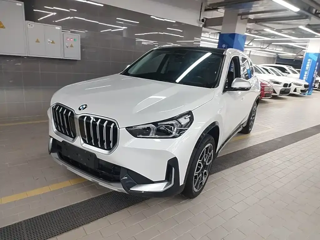 BMW X1 — фото 1
