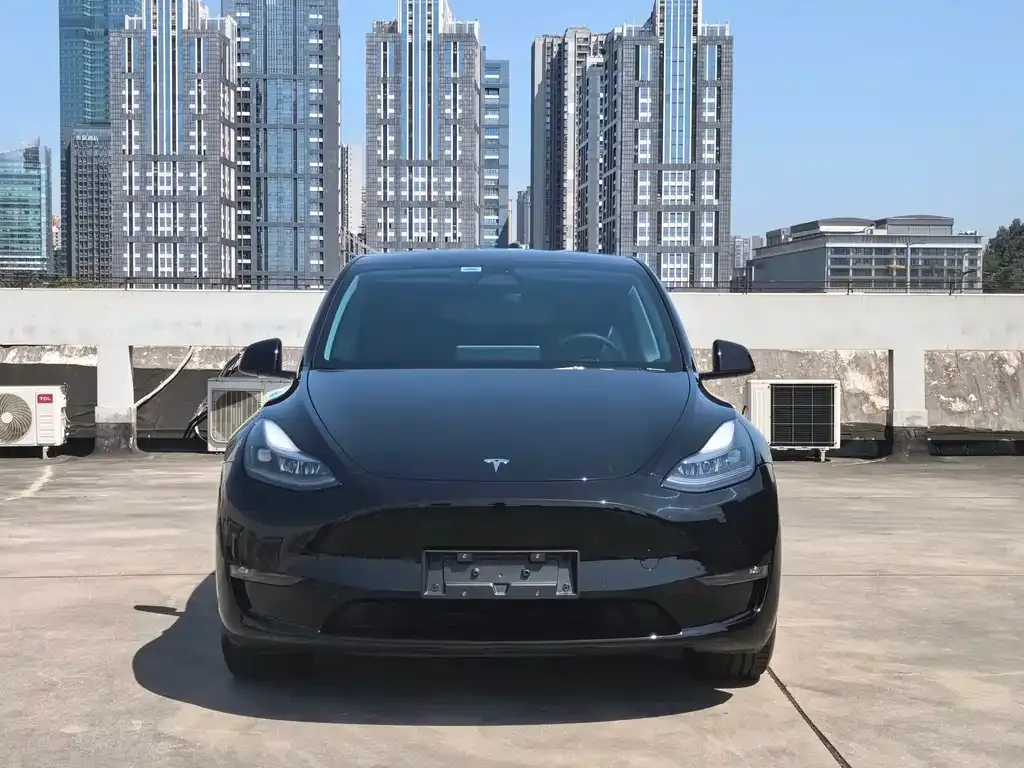 Tesla Model Y — фото 8