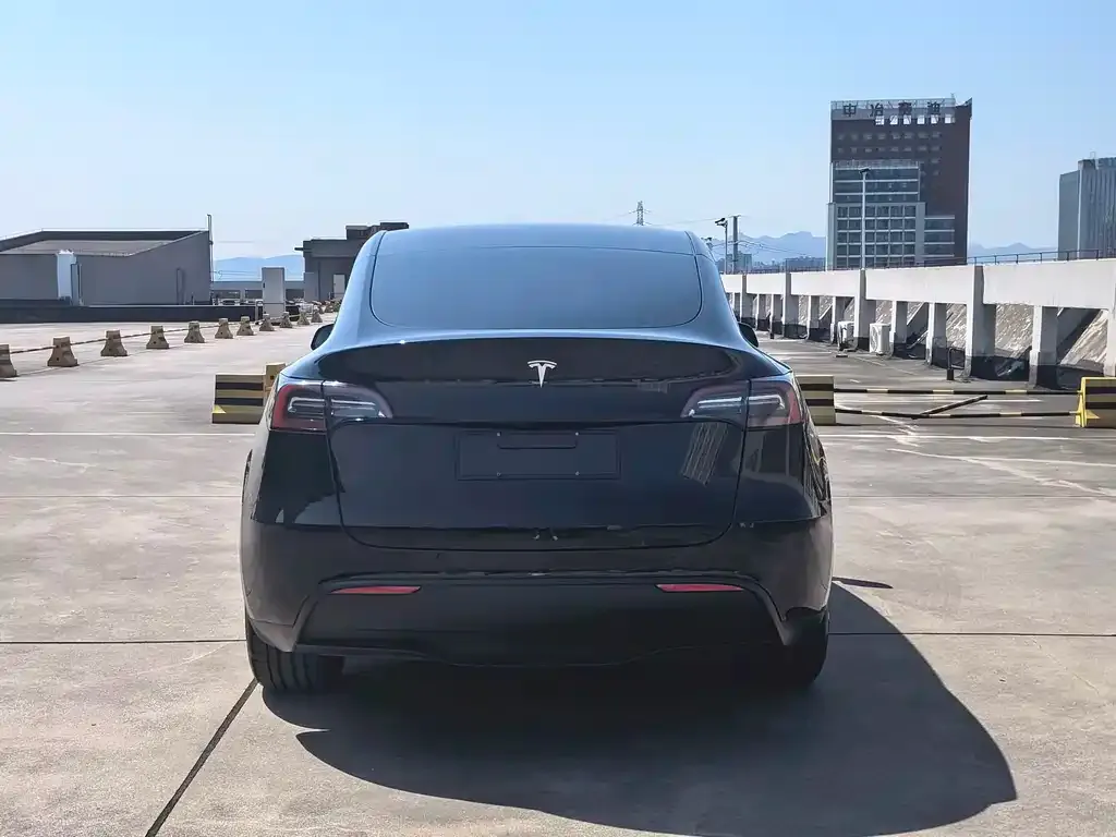 Tesla Model Y — фото 10