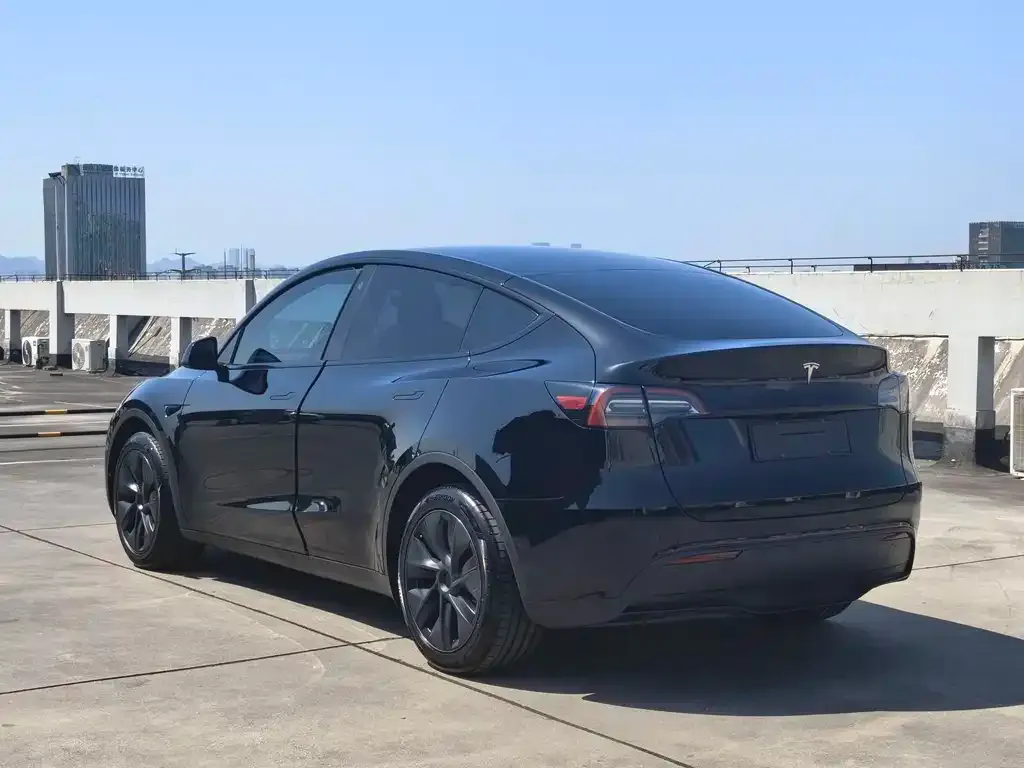 Tesla Model Y — фото 2