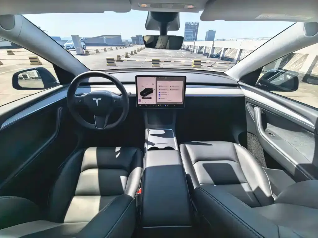 Tesla Model Y — фото 9