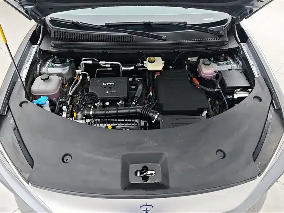 BYD Pro New Energy — фото 7