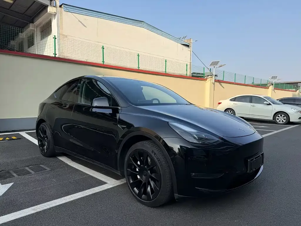 Tesla Model Y — фото 1
