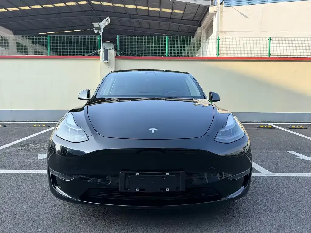 Tesla Model Y — фото 8