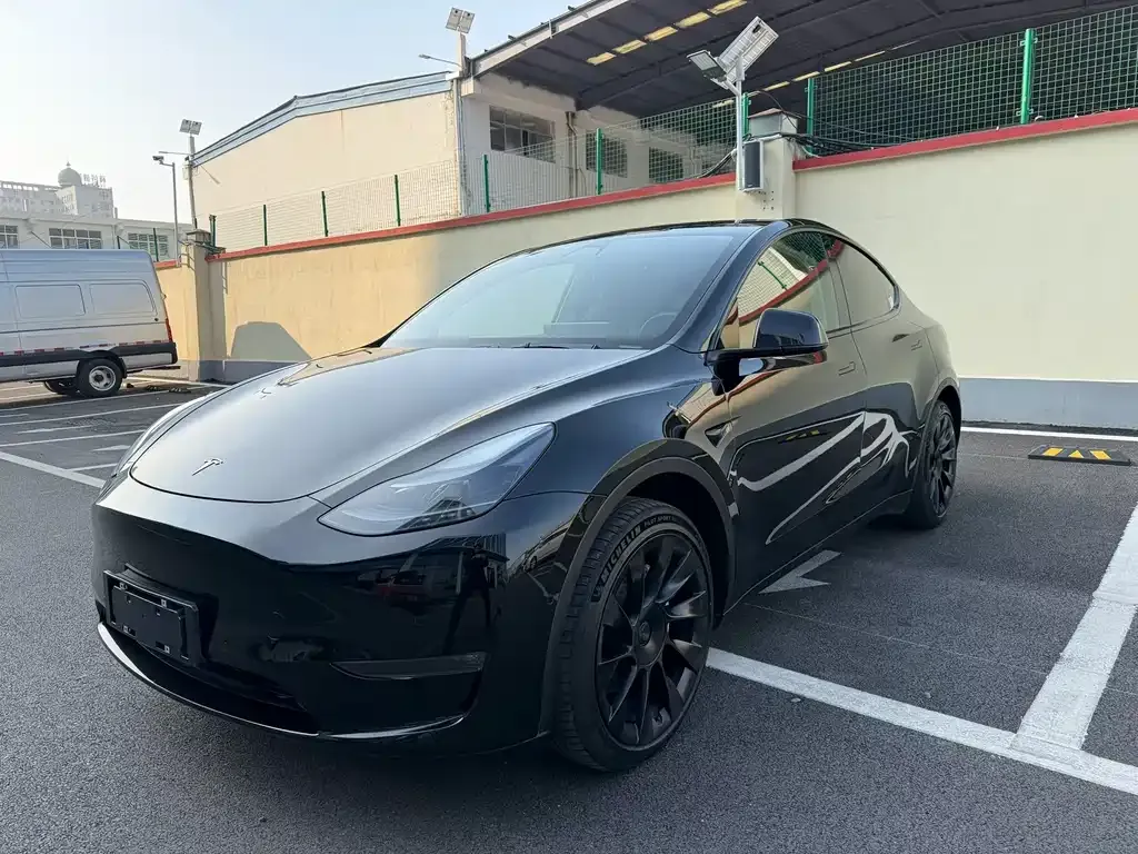 Tesla Model Y — фото 4